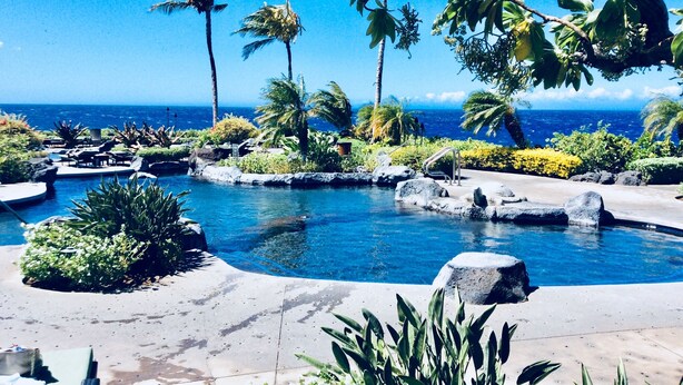 A pool area with tropical plants, palm trees, and a view of the ocean.
