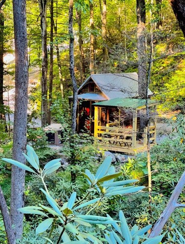 Tiny Owl Cabin – Tranquil Forest Retreat with Hot Tub and Creekside Setting