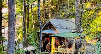 Tiny Owl Cabin â Tranquil Forest Retreat with Hot Tub and Creekside Setting