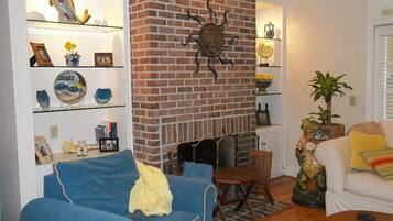 Televisor, llar de foc, reproductor de DVD i estèreo