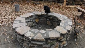 Un hogar de piedra con un gato sentado encima.