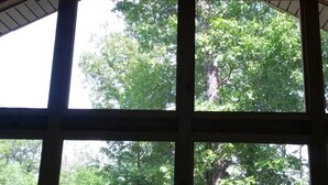 Una habitación con un ventanal que ofrece vistas a un área boscosa.