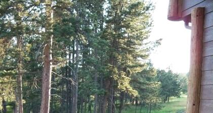 Hill City! Centrally located to Black Hills attractions.