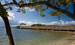 Vlak bij het strand, strandlakens