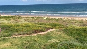 A beach with a sandy shore and grassy dunes.