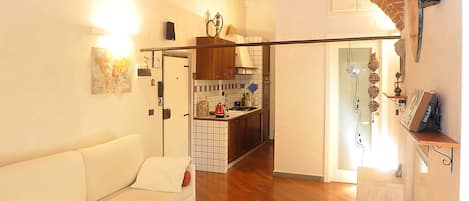TV, DVD player, books, music library