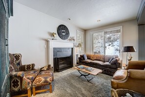 TV connectée, cheminée, lecteur de DVD, livres