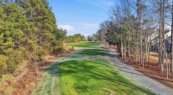Un campo de golf con un camino despejado, rodeado de árboles y una acera.