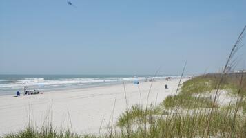 Plage, chaises longues