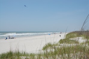 On the beach, sun-loungers