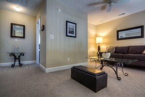 TV, DVD player, books, video library