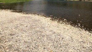 A river with a gravel path leading to it, surrounded by dense forest and hills.