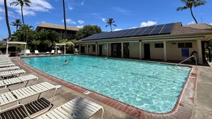 Una piscina con tumbonas, palmeras y un edificio con paneles solares.