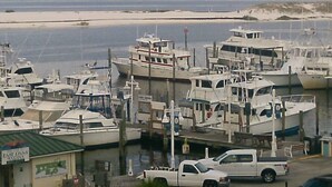 A marina with several boats docked, a truck, and a building with a sign that reads "East Bay Marina". - DESTIN HARBORWALK BEST LOCATION in DESTIN with Boatdock (destin)