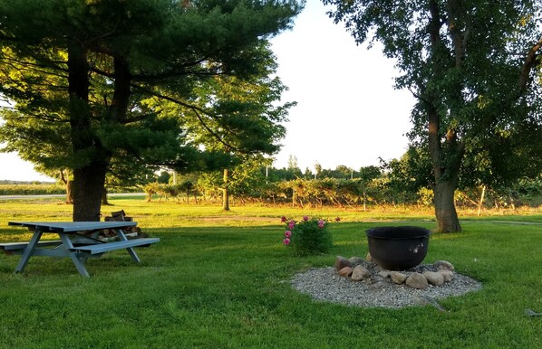 A picnic area with a table and a fire pit surrounded by rocks, set in a grassy field with trees and a vineyard in the background. - The Home Stead House at Arwen Farms (Ripley)