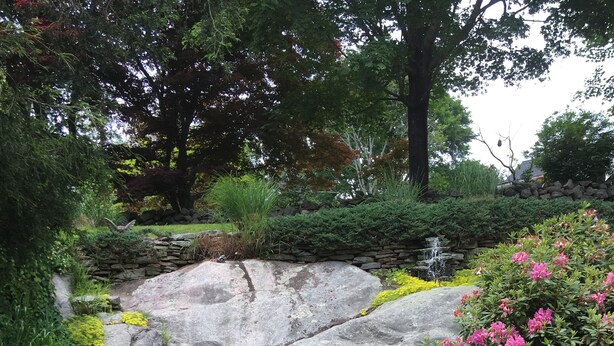 A garden with a pond, large rocks, and flowering bushes.