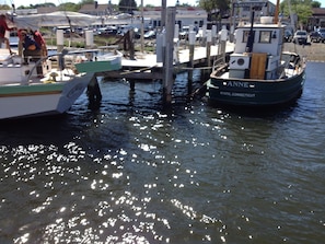 Come book a boating trip downtown Mystic—a mile away.