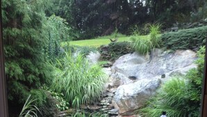 A garden with a pond, rocks, and benches.