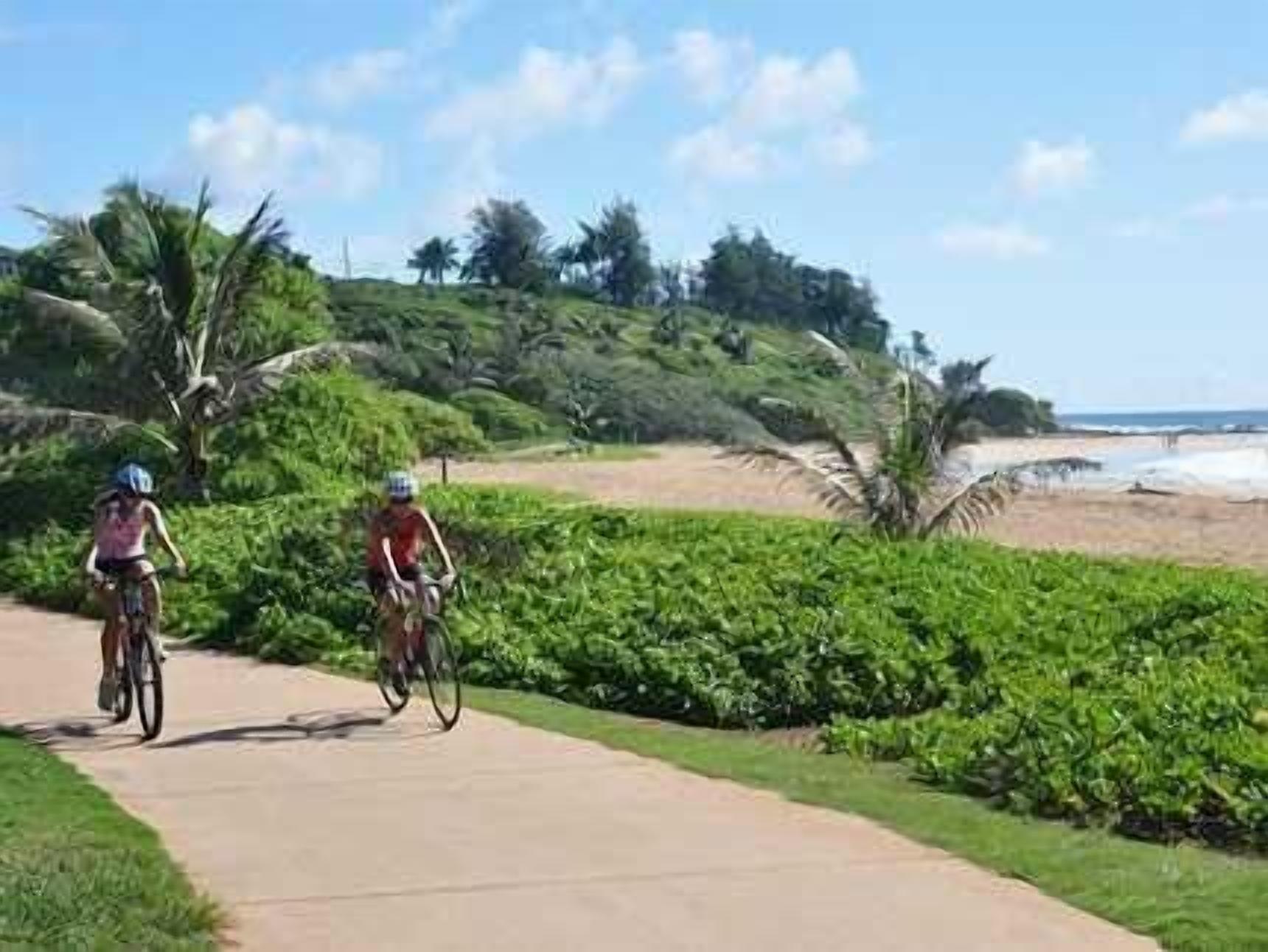 A paved path with cyclists, surrounded by lush greenery and a beach in the background.