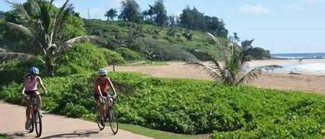 A paved path with cyclists, surrounded by lush greenery and a beach in the background.