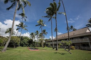 Property grounds - Ocean front full kitchen 1 Bed 1 Bath free parking, free wifi,free resort fees (Kapaa)