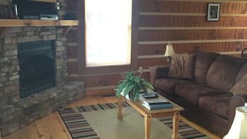 Smart TV, chimenea, reproductor de DVD y libros