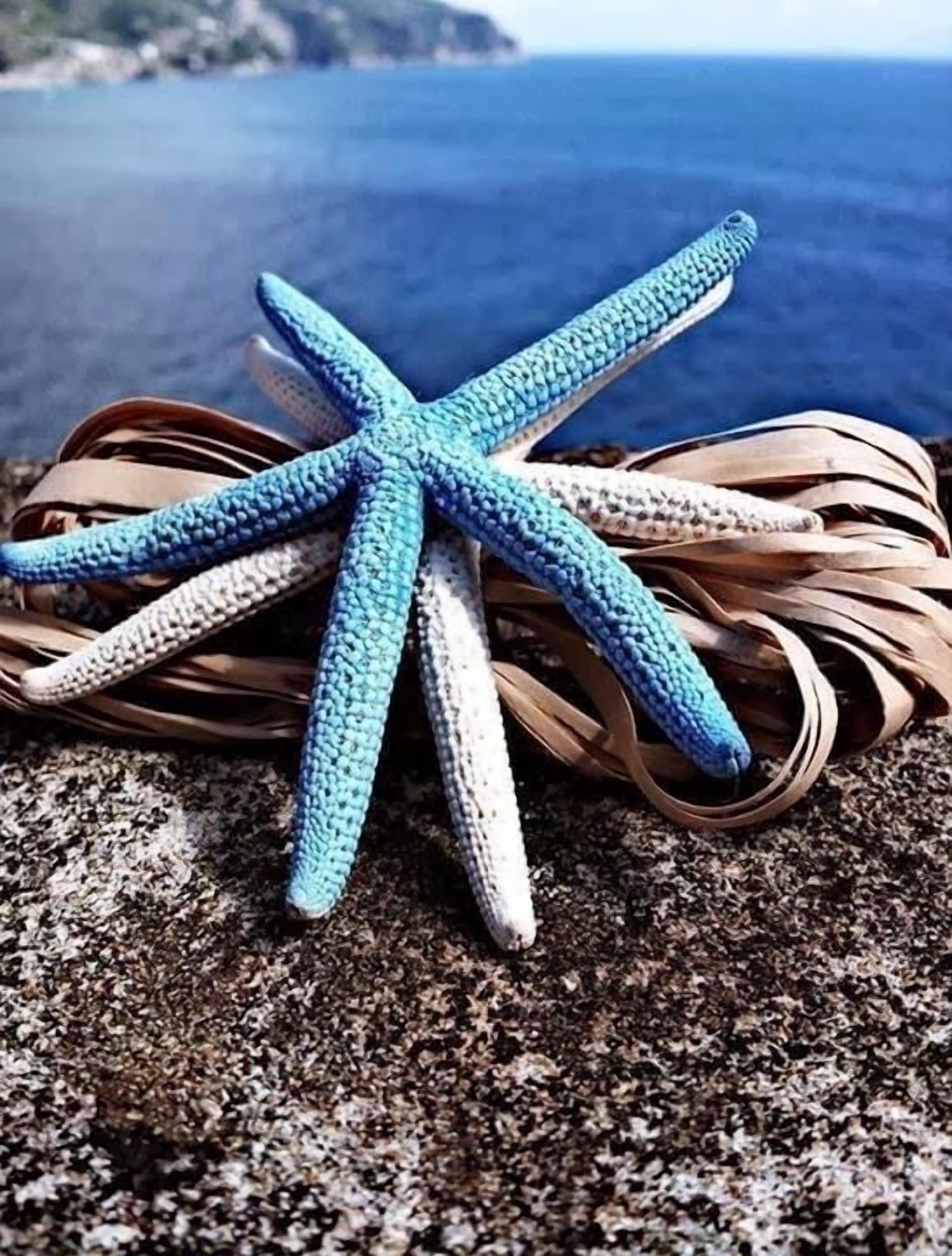 A crocheted starfish on a rocky surface with a view of the ocean in the background.
