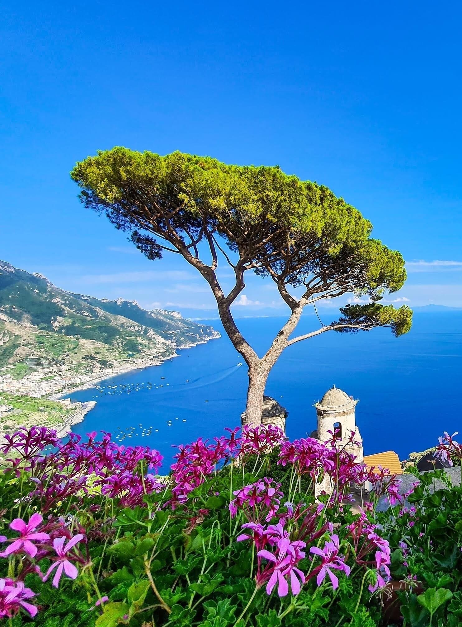 A coastal landscape with a prominent tree and a small building, likely a chapel, overlooking a bay with boats.
