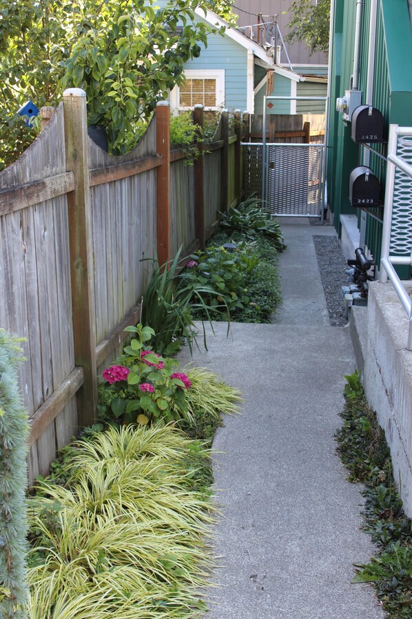 Un étroit chemin de béton bordé d’une clôture en bois et de différentes plantes.