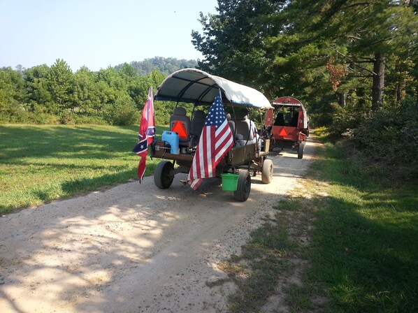 A dirt path with two vintage carriages, one with an American flag and another with a Confederate flag.