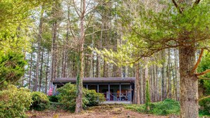 A cabin surrounded by dense forest, with a porch and visible windows.