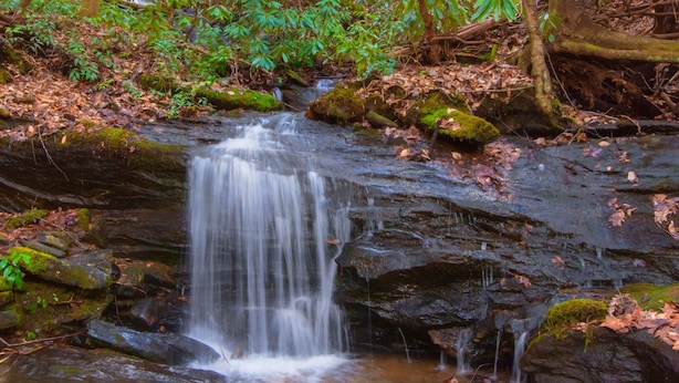 A waterfall in a forested area with rocks and moss.