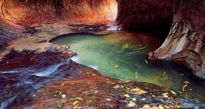 Luxury 4bd/3bth Condo at Las Palmas Resort, From 240 dollars per night