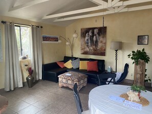 TV connectée, cheminée, lecteur de DVD, livres