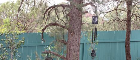 Un arbre avec une nichoir et une lampe suspendue.
