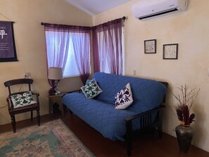 TV connectée, cheminée, lecteur de DVD, livres