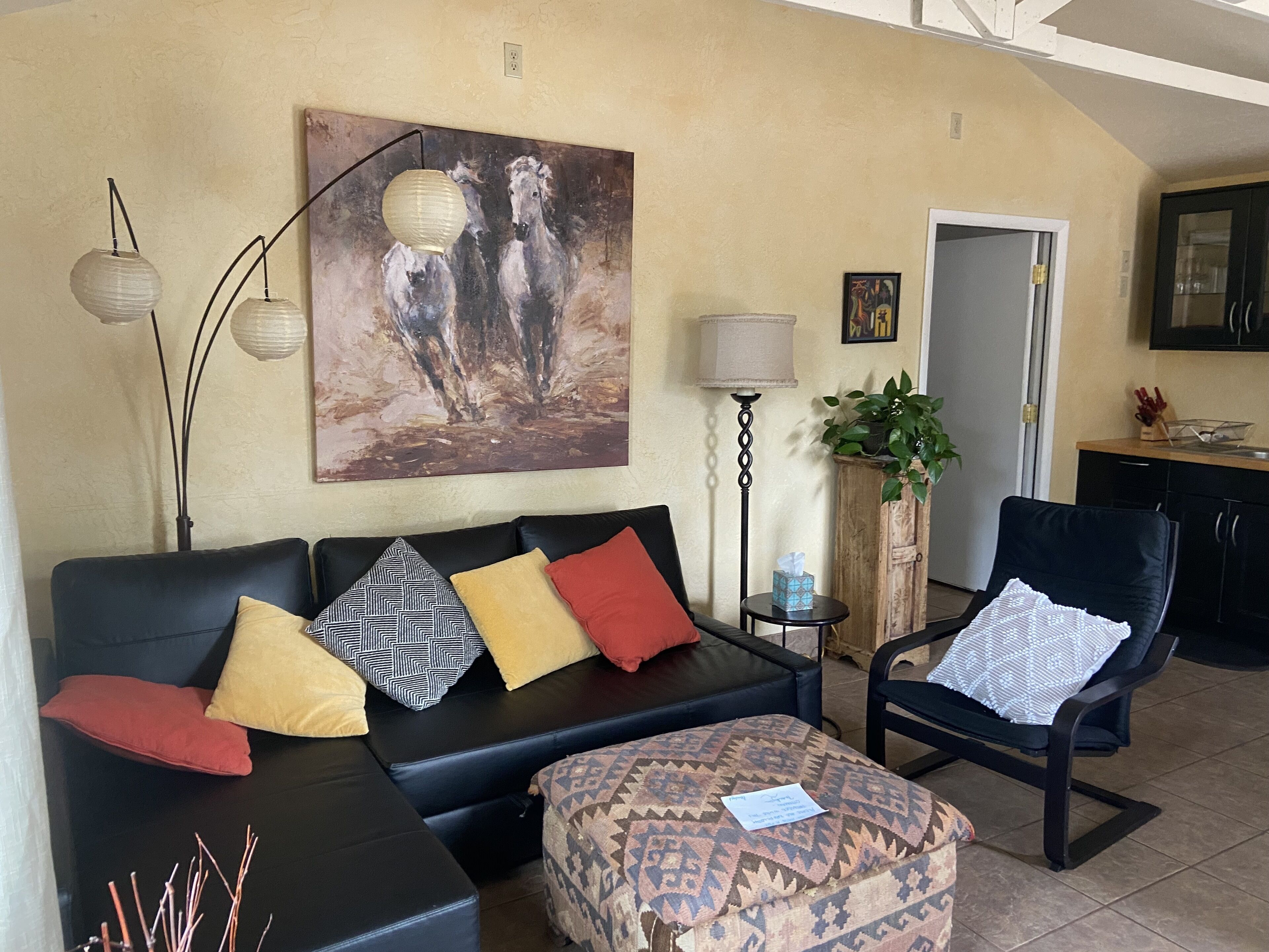 智能電視、壁爐、DVD 播放機、書籍