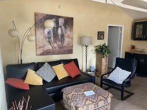 TV connectée, cheminée, lecteur de DVD, livres