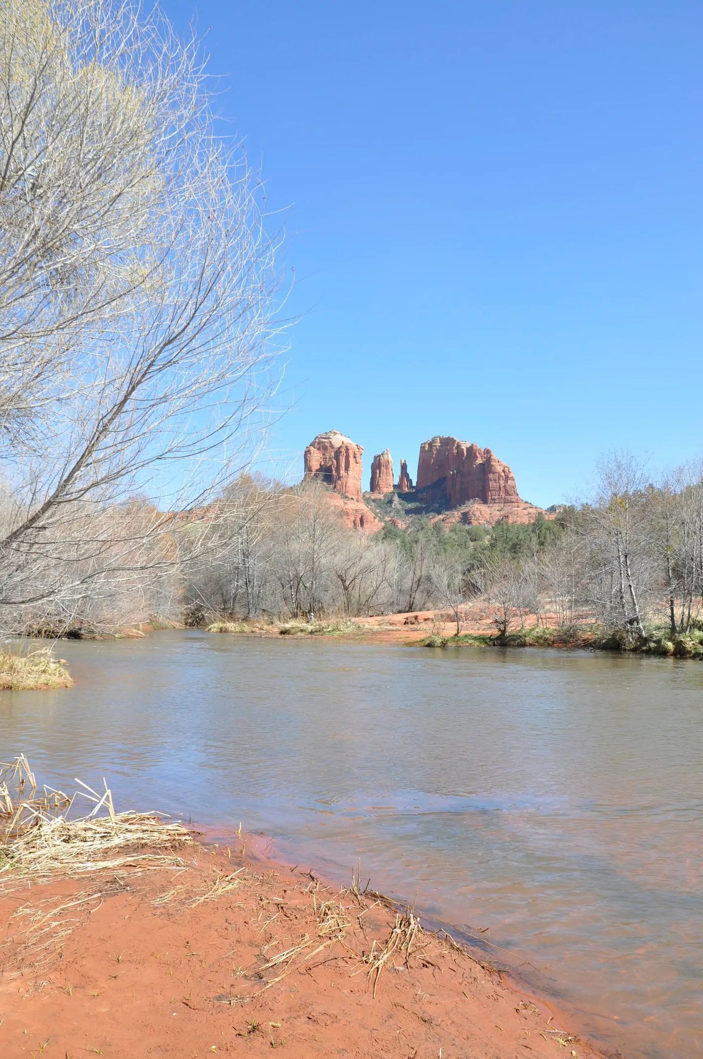 A river with a clear view of red rock formations in the background.