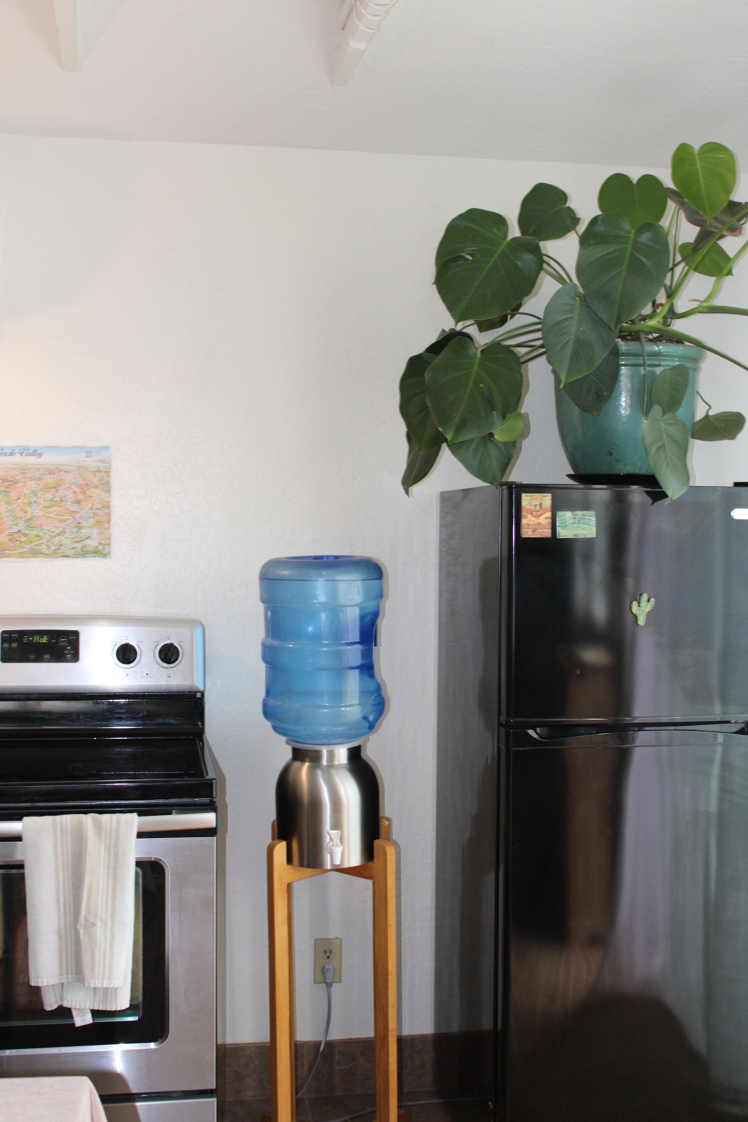 Una cocina con un refrigerador de acero inoxidable, un dispensador de agua y una planta en maceta encima del refrigerador.