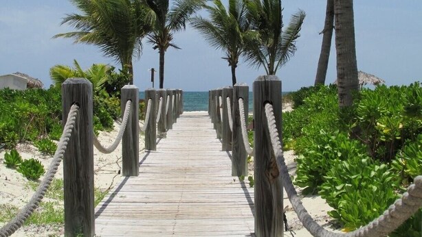 A wooden boardwalk leading to the beach, flanked by palm trees and surrounded by greenery.