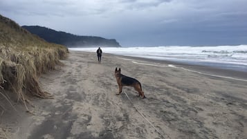 海滩