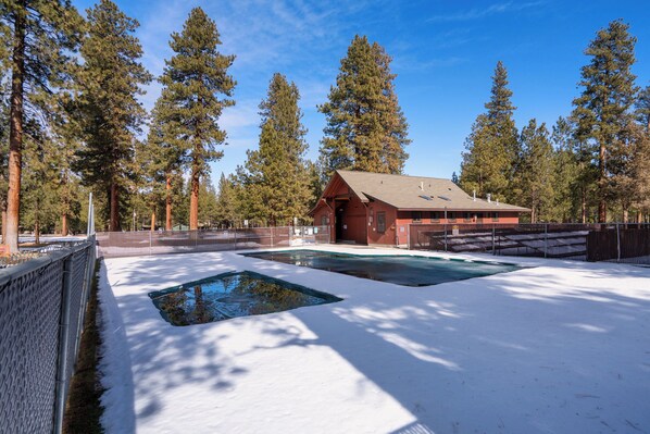Une cabane avec une piscine, entourée de neige et de grands pins.