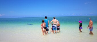 Lujo con DOS en Suite Masters; Accesible; Familia amigable; Renovación reciente!