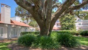A white building with a red-tiled roof, a chimney, and a large tree in front. - Cozy beach unit setup for vacations with kids or Couples!  (St Simons Island)