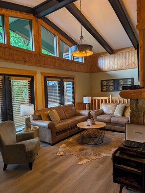 Smart TV, fireplace, DVD player, video library