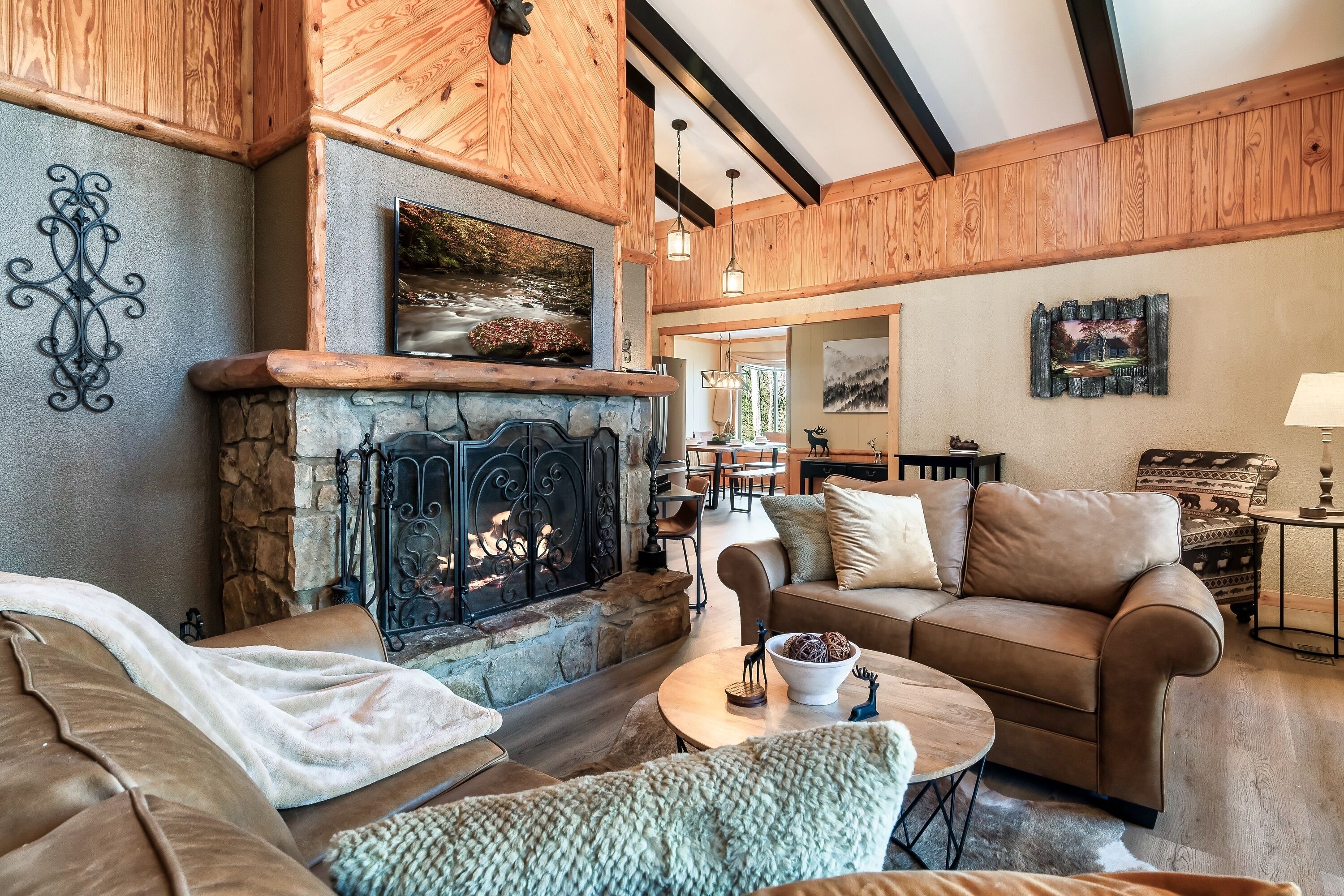 Smart TV, chimenea, reproductor de DVD y videoteca 