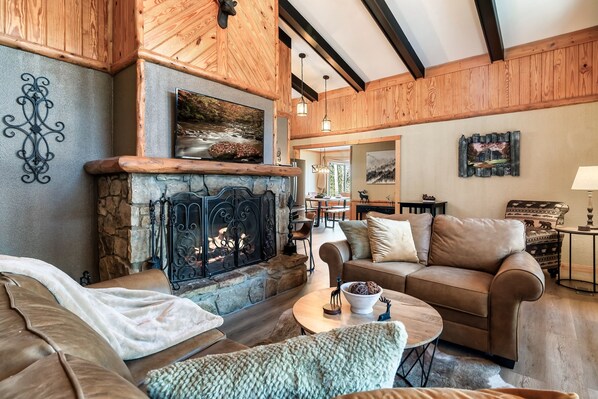 Smart TV, fireplace, DVD player, video library