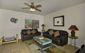 TV, DVD player, books, video library