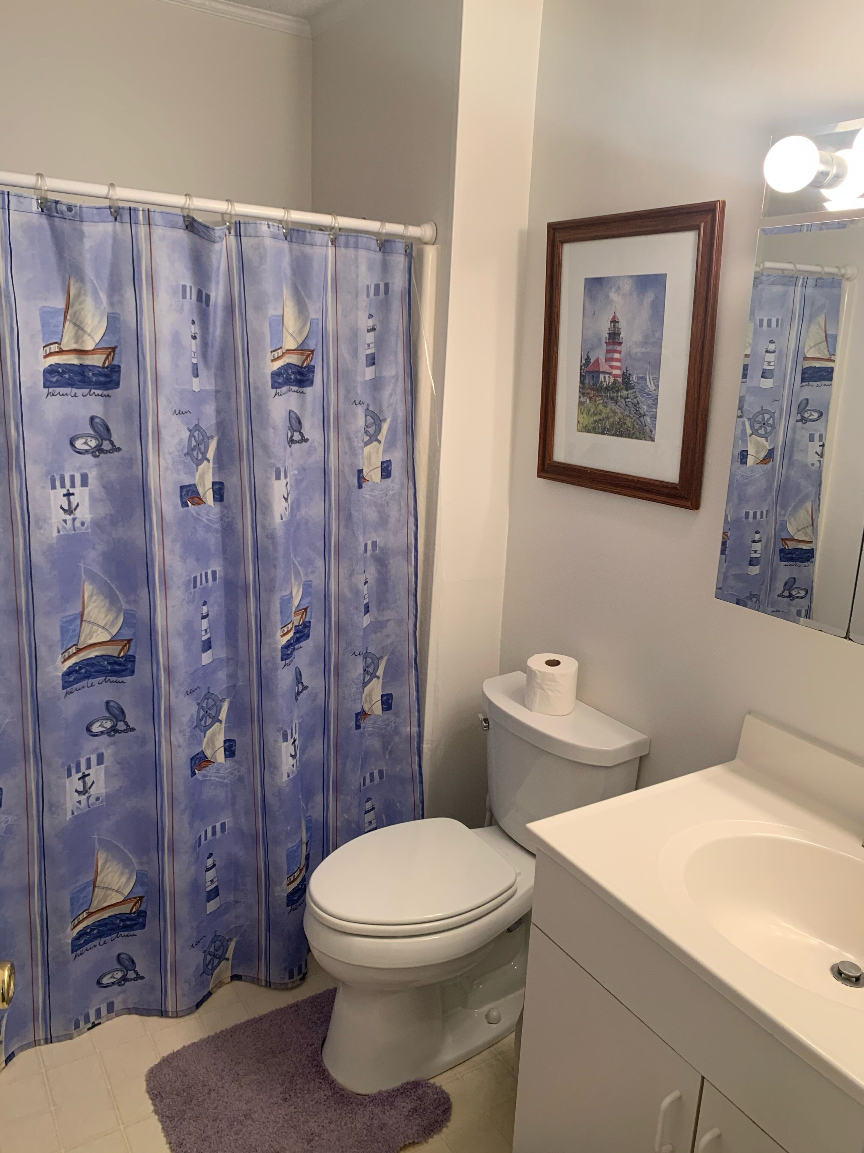 Combined shower/bathtub, hair dryer, towels, soap